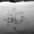 Co0845-19_B