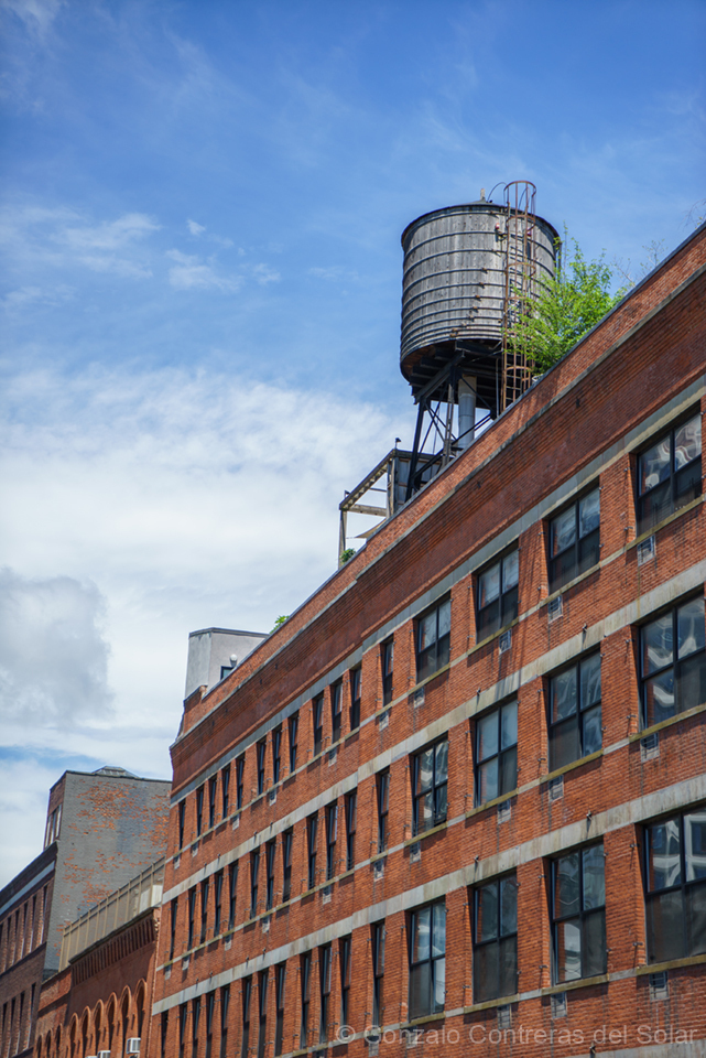 D043-1490 - Wood and sky in still balance D043-1490 - Wood and sky in still balance