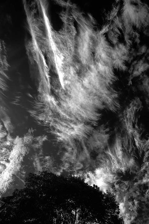 D076-3788_B