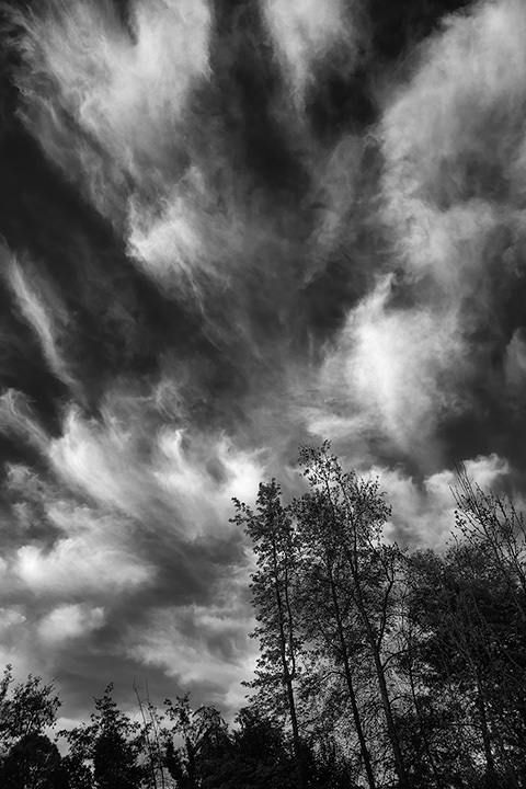 D085-4475_B