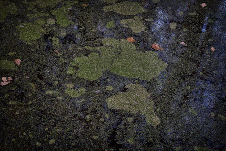 CoD096-4993_2