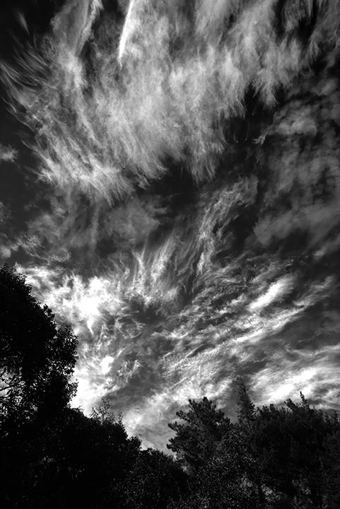 D076-3785_B
