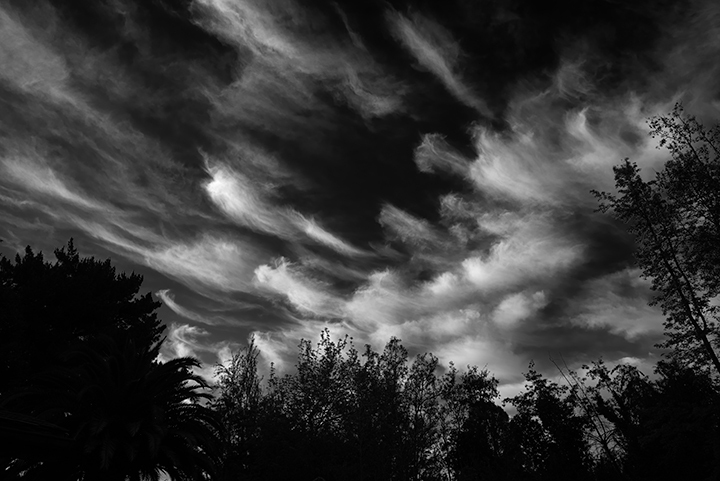 D085-4469_B