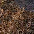 D072-3358_2