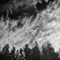 D076-3749_B