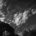 D076-3752_B
