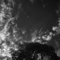 D076-3764_B
