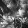 D085-4475_B