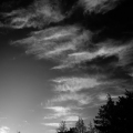 D085-4484_B