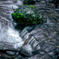 0987-06_2
