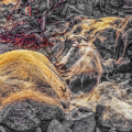1051-17_2 - Fibers of Time