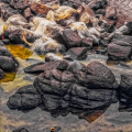 1054-17_2 - Fibers of Time