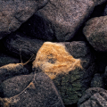 1070-08_2 - Fibers of Time