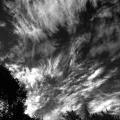 D076-3785_B
