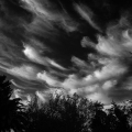 D085-4469_B