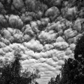 LrD058-2286_B