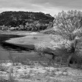 1150-11_B