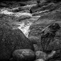 LrD114-0833_B