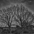 LrD114-0932_B