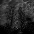 LrD114-0948_B