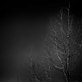 LrD124-2510_B