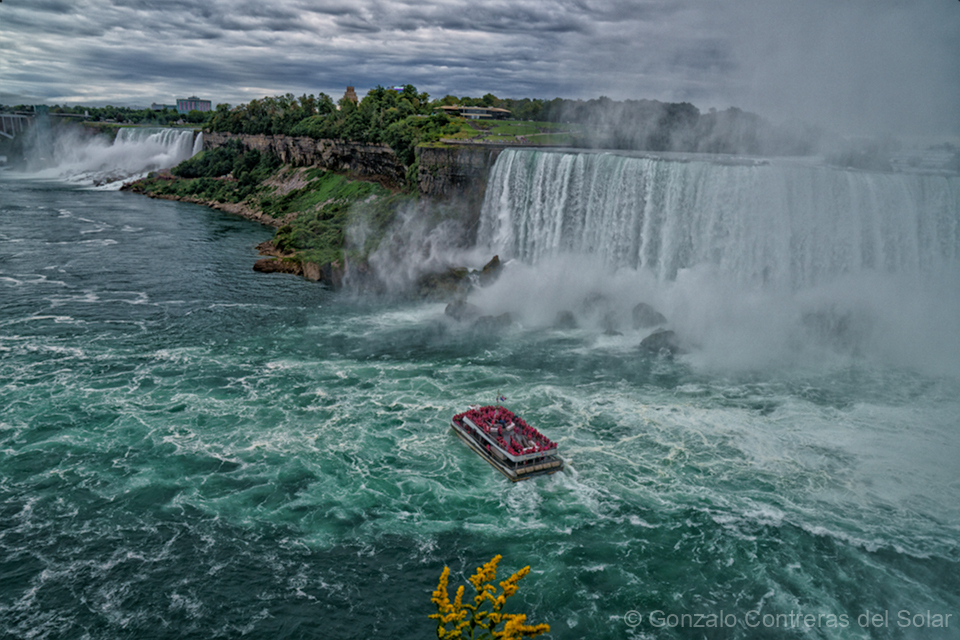 LrD131-4236 - Into the Heart of the Mist