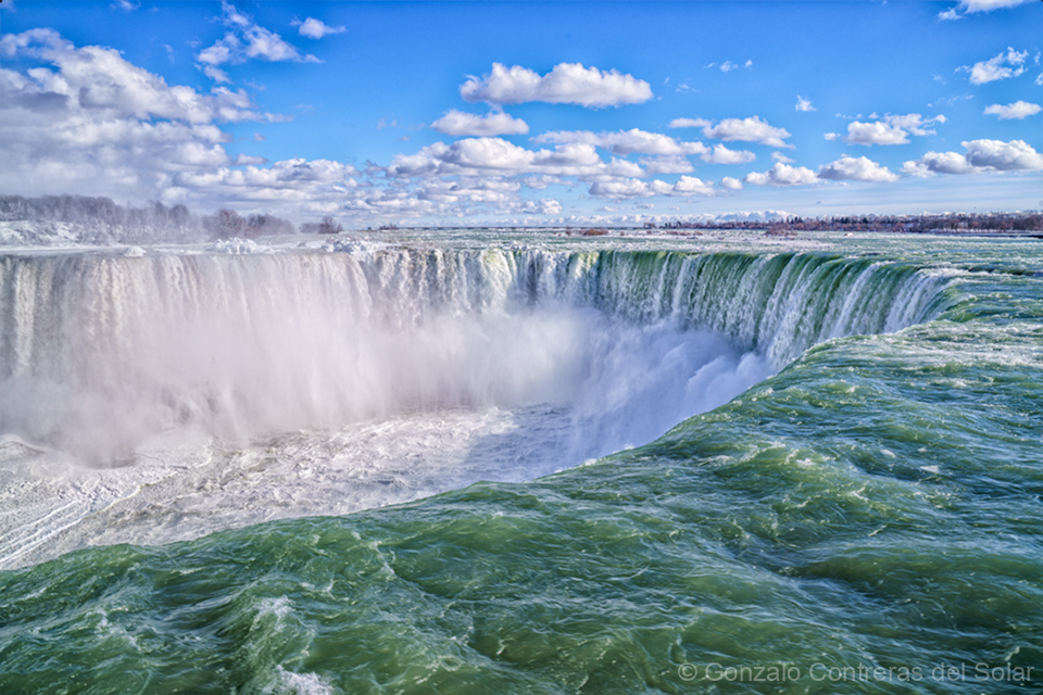 LrD138-7657 + Facing the Roar