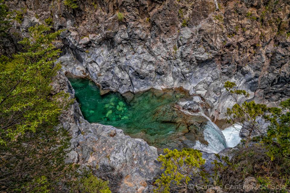 LrD142-8849 - Ancestral Current