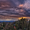 DJI_20250615173904_0049__0051