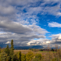 DJI_20250616155156_0064_D