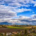 DJI_20250616155603_0066__0068