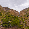DJI_20250621133612_0002_0003