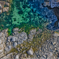 DJI_20250816120708_0082_D - Algae’s Return