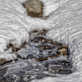 LrD138-7808_7809