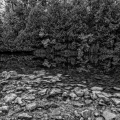 LrD140-8394_8395_B