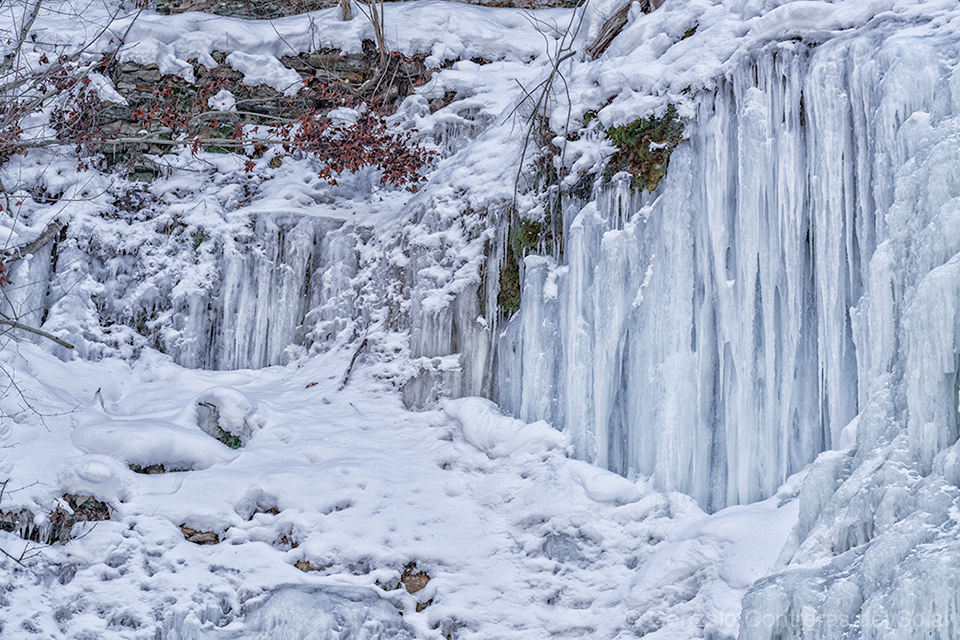 LrD143-9324 - Winter Veil of Ice