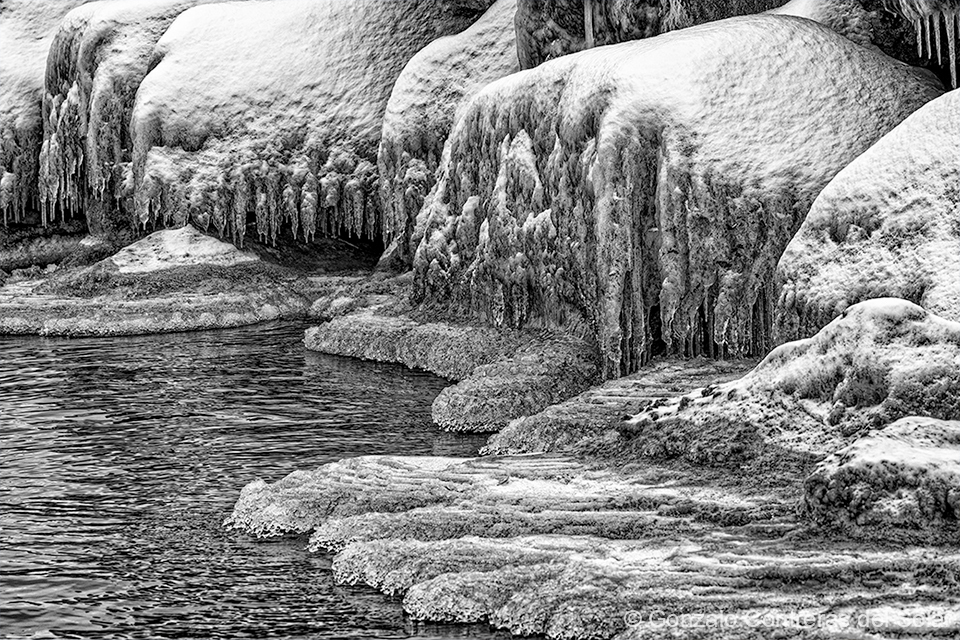 LrD143-9041_B - Winter Contemplation: Frozen Veil