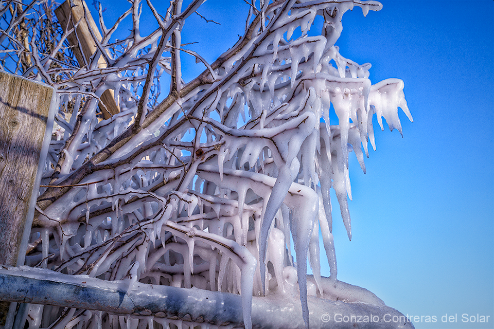 LrD143-9293 - Mist-Formed Ice I