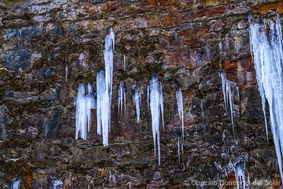 LrD143-9323 - White Stalactites on Dark Stone