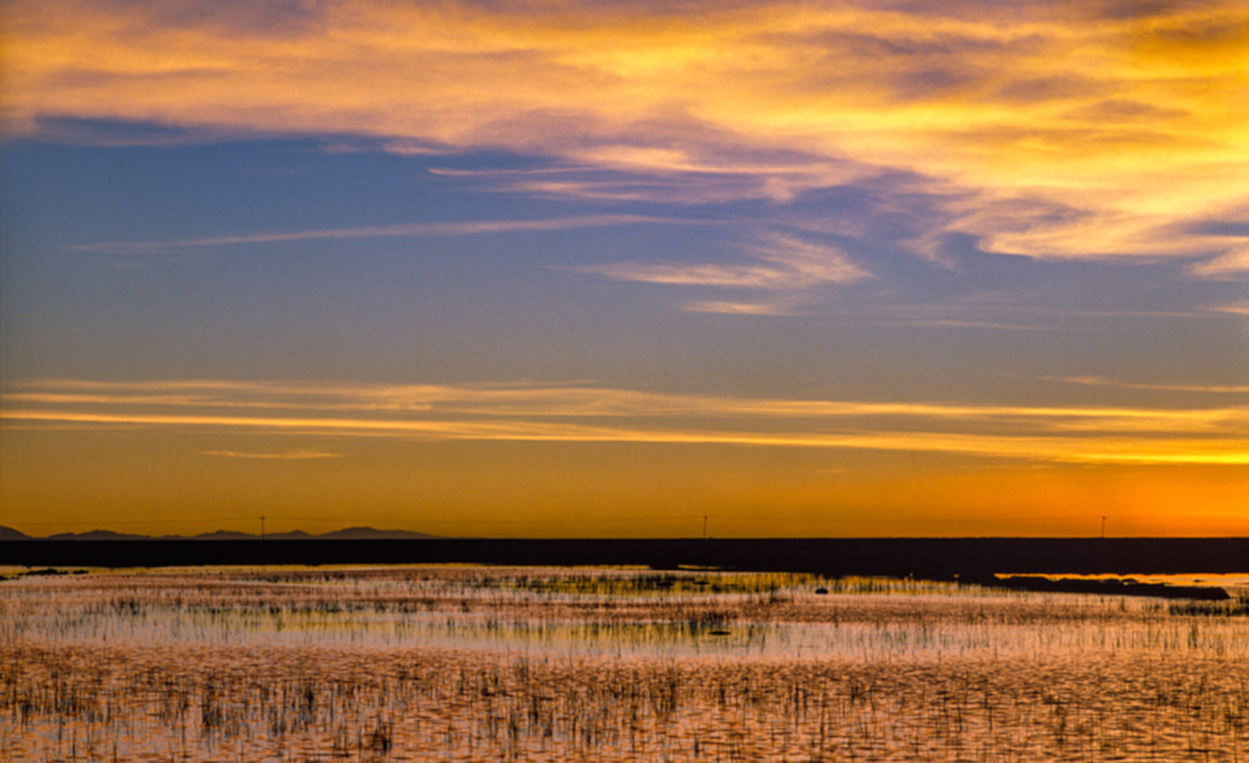 Stillness Woven by Wind & Water — Huancaroma, 1989