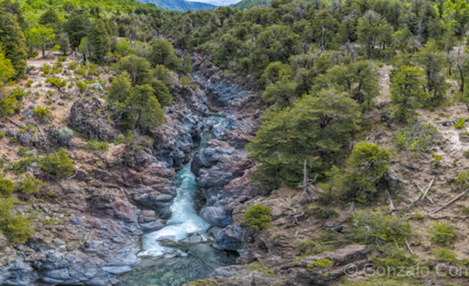 The Legend of the Seven Cups – Radal Siete Tazas, Chile