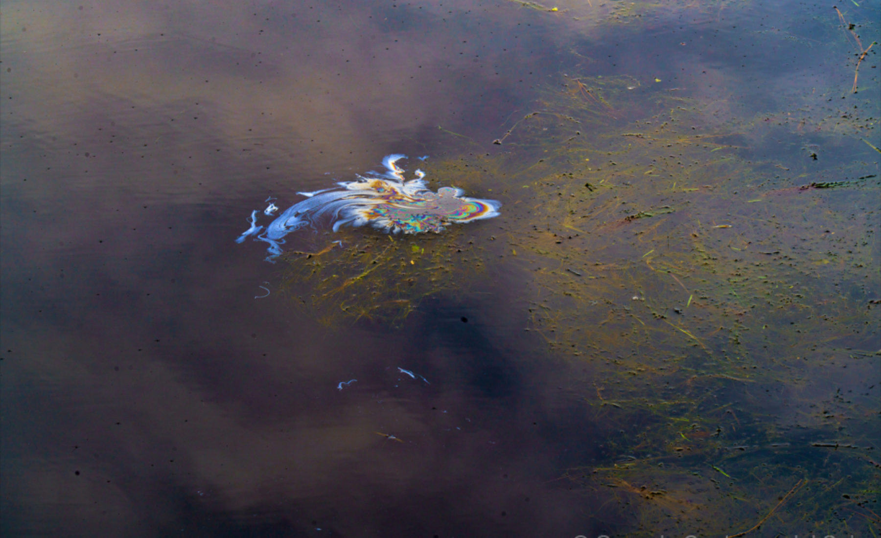 Where Silence Meets Reflection: