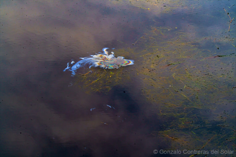 Where Silence Meets Reflection: