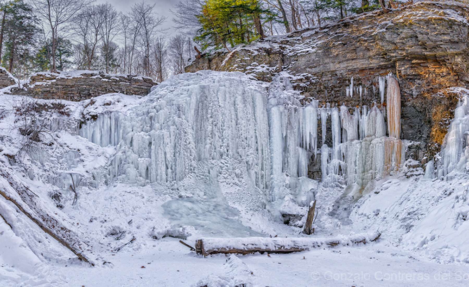 Tiffany Falls in Winter: Where Silence Becomes Form